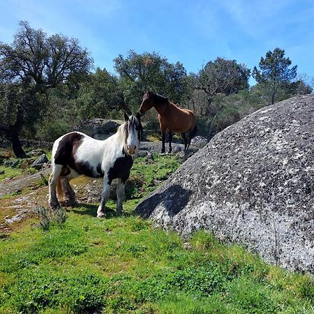 Magic Nature Lodge Marvão 외부 사진
