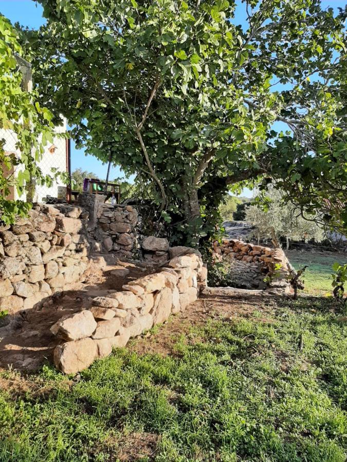 Magic Nature Lodge Marvão 외부 사진