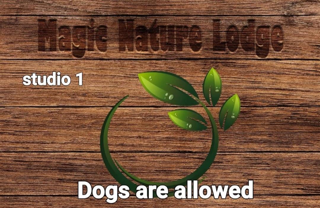 Magic Nature Lodge Marvão 객실 사진